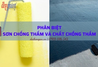Sơn chống thấm và chất chống thấm có gì khác biệt?
